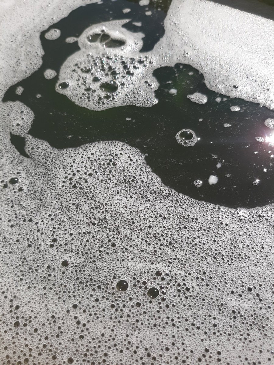 SaraPMarshall's tweet photo. Sitting naked in a horse trough full of bubbles...that's my happy. https://t.co/0cED10hels