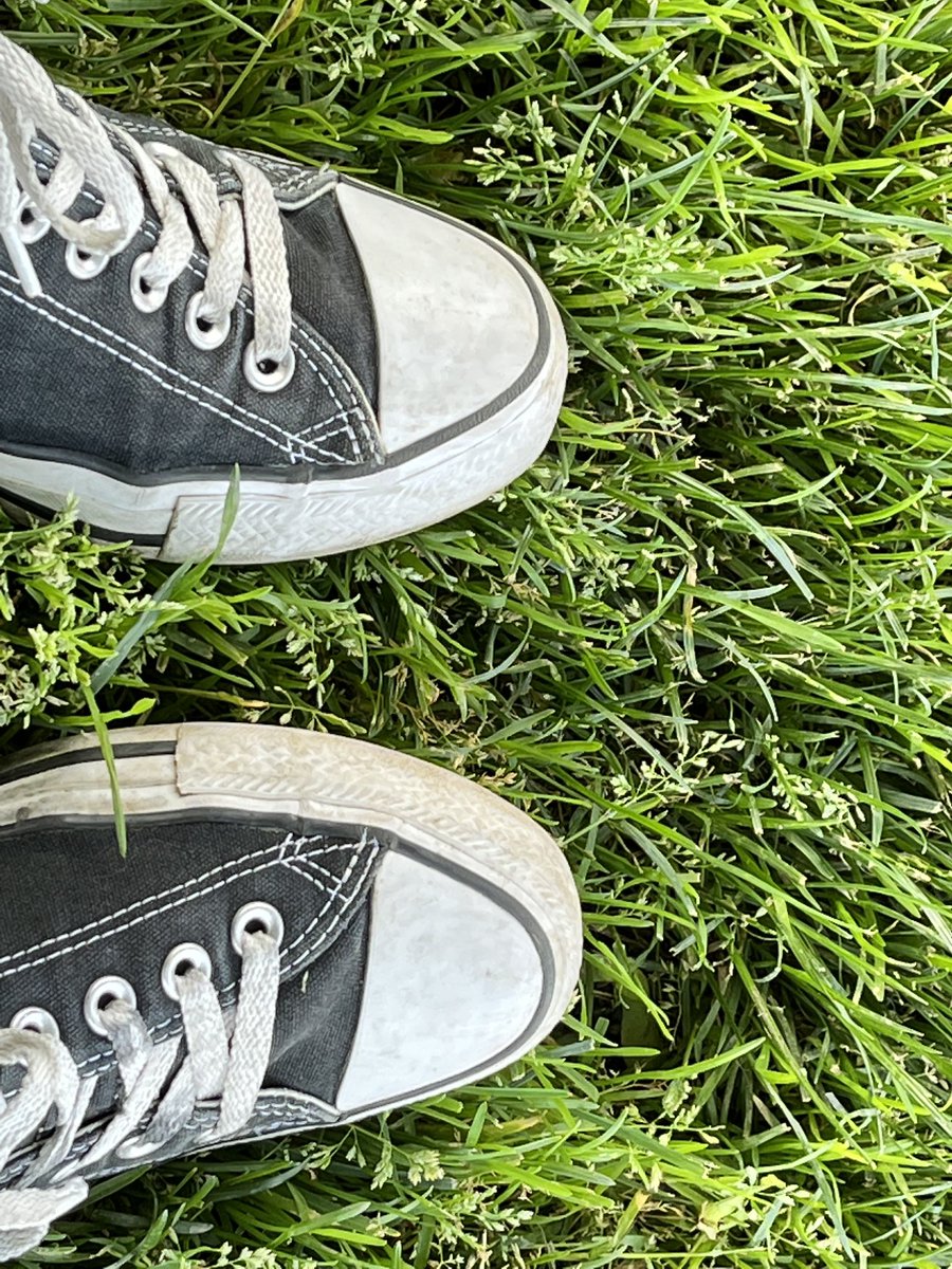 David Cloyd tweet media