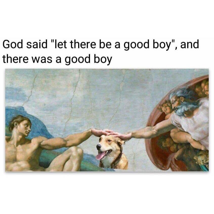 MuggsTheBoxer's tweet photo. Good boy. #MuggsTheBoxer #DogsofTwittter https://t.co/lAmx1Hn9NI