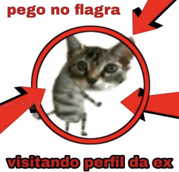 Shitpost só que de verdade (@shitpostverdade) on Twitter photo 