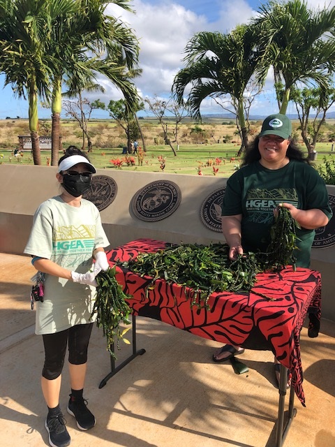 Mahalo to our members, staff and volunteers that met on Sunday to place almost 1,600 leis on grave stones at the Kauai Veterans Cemetery!
#HGEAStrong
