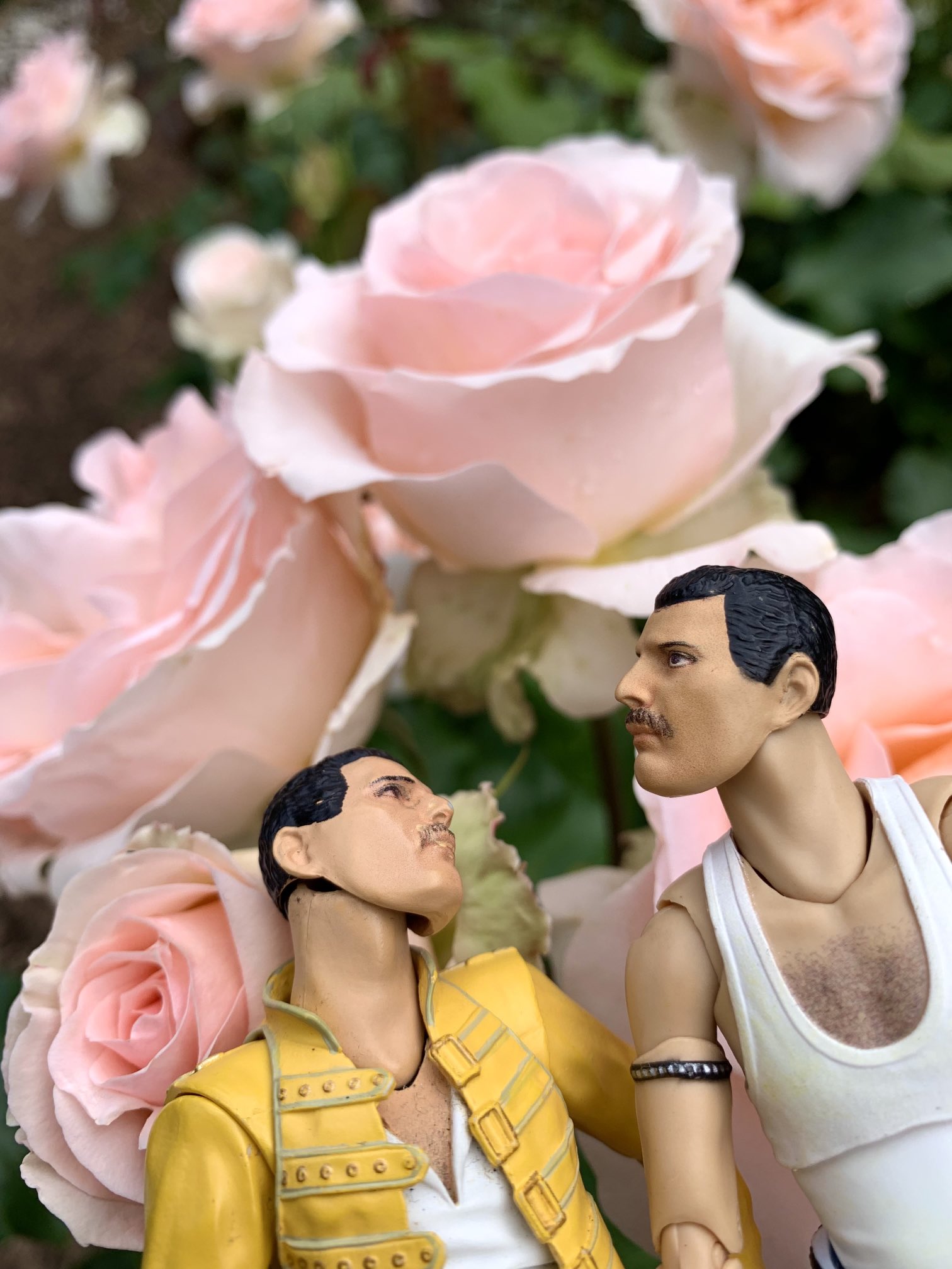 空月 ほら 小さな薔薇の森で ため息にも似た 深呼吸をして きみの 今日に 出かけてごらん ここに住む 可愛い薔薇の妖精たちが きっと きみの心を 守ってくれるよ そう ぼくたちと一緒に ね ふふ フレディ大好き Tlを花でいっぱいにしよう バラ 写真 空月 ほら 小さな薔薇の森で ため息にも似た 深呼吸をして きみの 今日に 出かけてごらん ここに住む 可愛い薔薇の妖精たちが きっと きみの心を 守ってくれるよ そう ぼくたちと一緒に ね ふふ フレディ大好き Tlを花でいっぱいにしよう バラ 写真