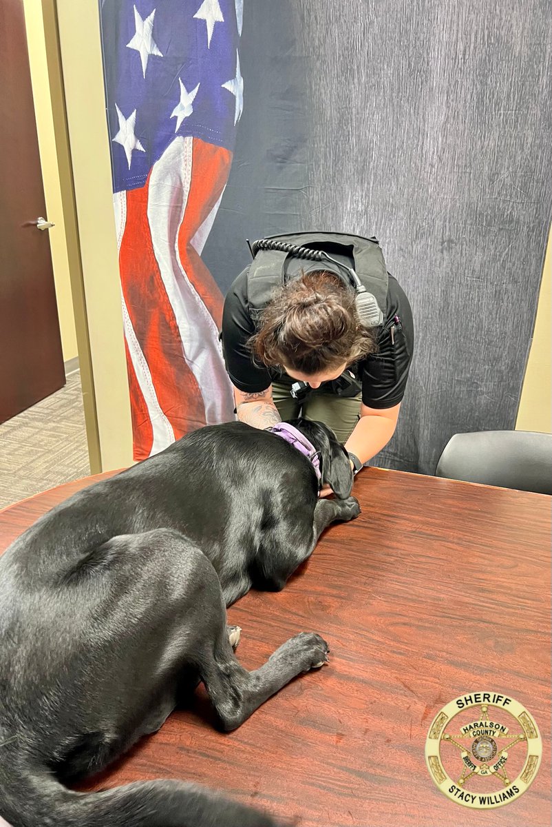 HCSO_K9Tora's tweet photo. A little photo shoot at the beginning of shift tonight for Deputy @JordanB72891269 and K-9 Tora.
#K9Tora๐พ๐
#OnDuty #Photogenic #Besties #FemaleK9Unit #CrimeFightingDuo #Team #Photos #K9Unit #ReadyForDuty #Labrador #Tora #Smiles #TonguesOutTuesday #GoodGirl https://t.co/5K28PjEqeE