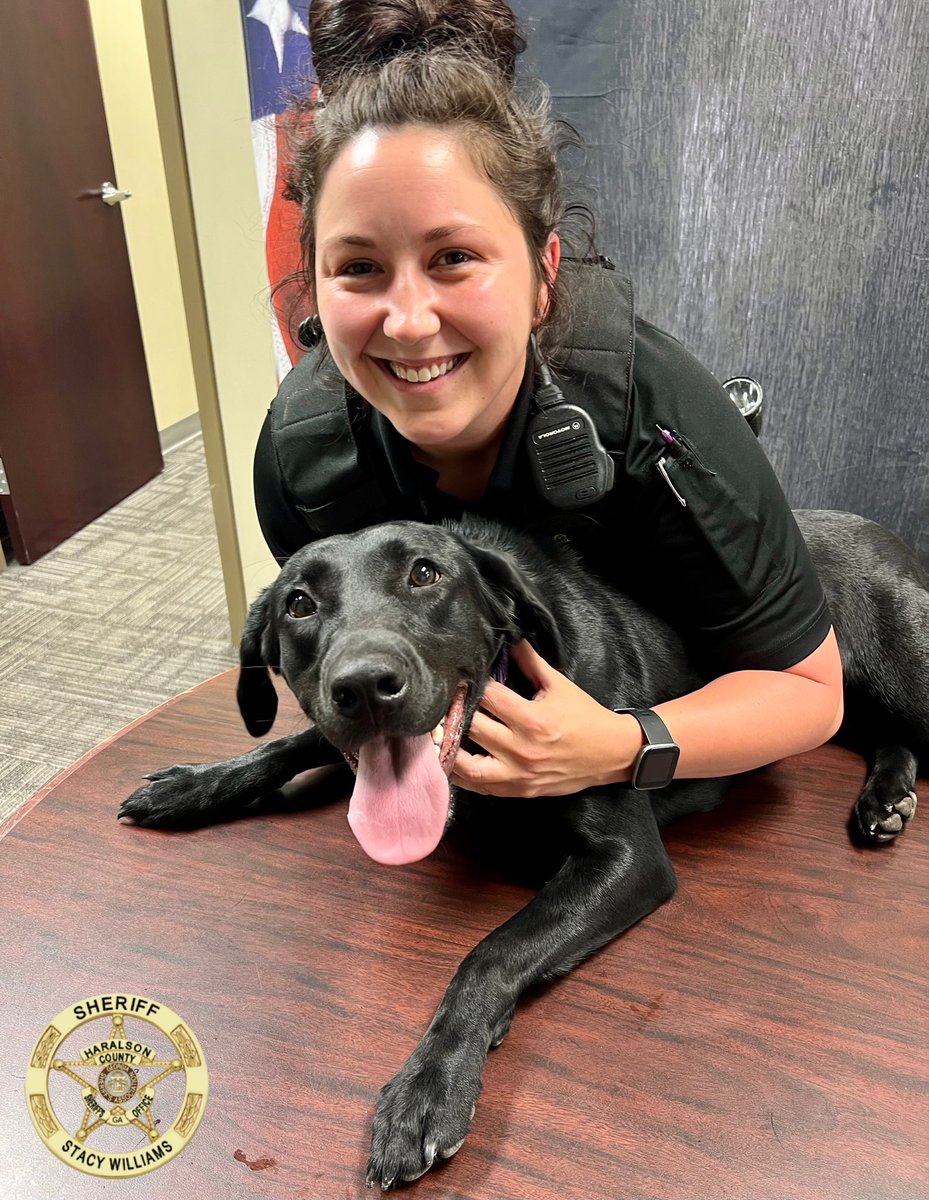 HCSO_K9Tora's tweet photo. A little photo shoot at the beginning of shift tonight for Deputy @JordanB72891269 and K-9 Tora.
#K9Tora๐พ๐
#OnDuty #Photogenic #Besties #FemaleK9Unit #CrimeFightingDuo #Team #Photos #K9Unit #ReadyForDuty #Labrador #Tora #Smiles #TonguesOutTuesday #GoodGirl https://t.co/5K28PjEqeE