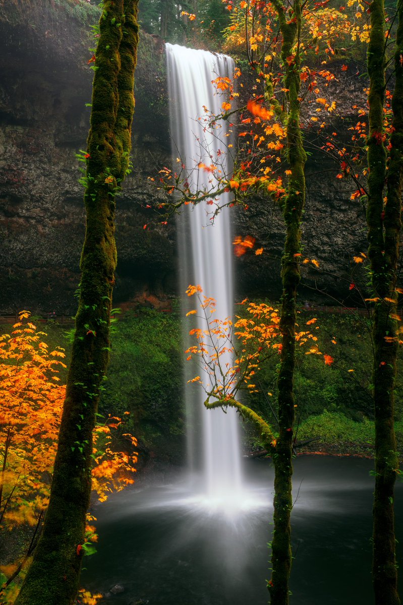 ArmandNour's tweet photo. Fall breeze and Autumn leaves. 🍁

#NFT #NFTCommunity #nftart #NFTdrop #nftphotography https://t.co/5i2Fc25hmU