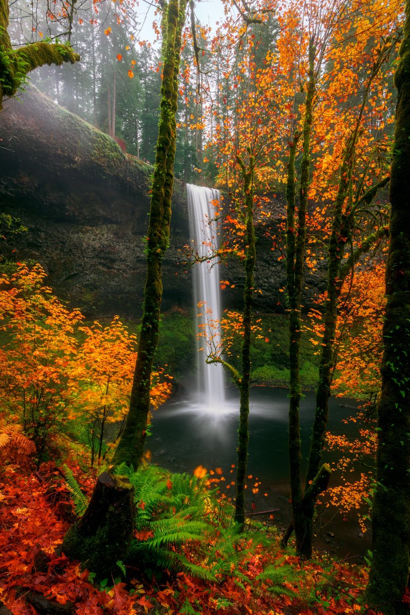 ArmandNour's tweet photo. Fall breeze and Autumn leaves. 🍁

#NFT #NFTCommunity #nftart #NFTdrop #nftphotography https://t.co/5i2Fc25hmU