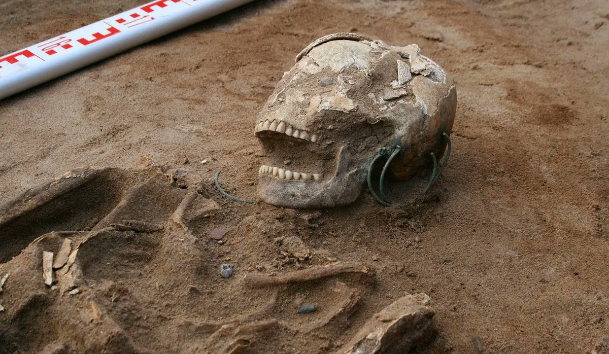tac_org's tweet photo. A medieval graveyard in Poland contains unusual burials that were thought to reflect a fear of vampires. New research offers an alternative explanation.
https://t.co/2TrH4Pv2I1
#Archaeology #Cemetery #Polland #Vampires #BurialPractices https://t.co/rmpwWeLnmT