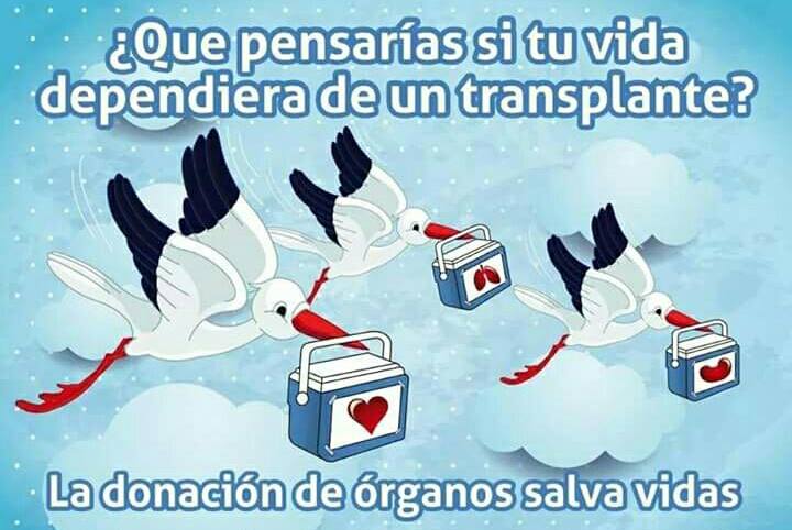 DeTrasplantados's tweet photo. 1 junio 2022 #donaresamar #DiaNacionalDelDonanate #TodosTenemosUnGenDonante #Activalo @fneth_org @ONT_esp https://t.co/GApmRTaKlG