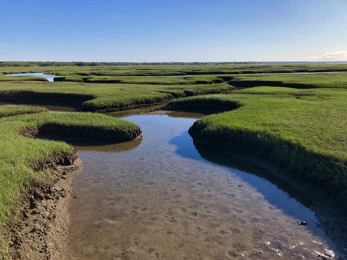 petermarteka's tweet image. Goodbye #MayPatternChallenge. It was a lot of fun. Thanks everyone for all the great entries.

We move on to #JuneCloseupChallenge Wednesday. 

Just to review the rules for June:

1) No rules
2) 👆🏻
2a) Don’t forget the hashtag. (Applies only to Marteka)

#GraysBeach #Yarmouth