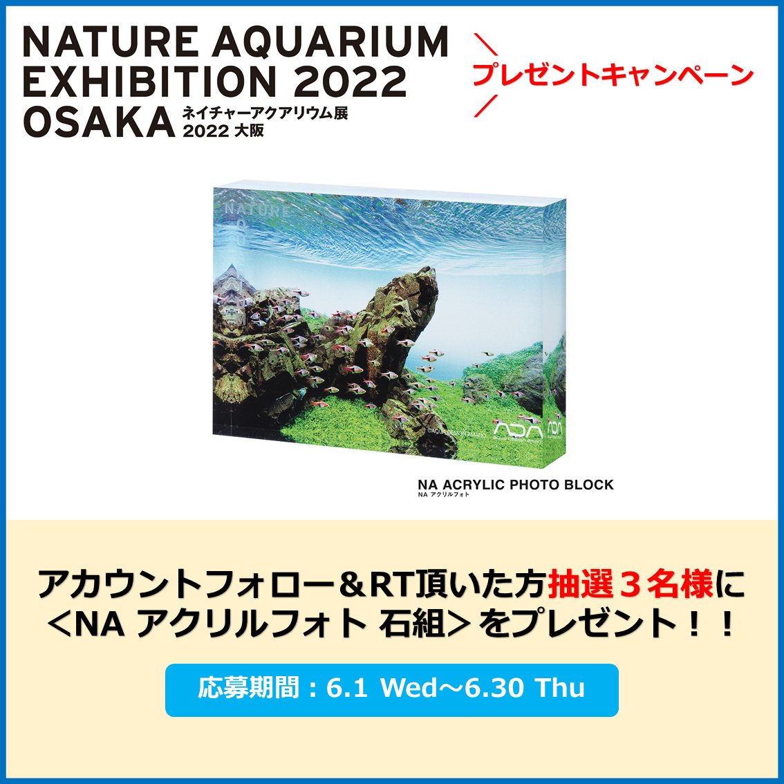 AquariumNature's tweet photo. ＼
前売券 発売中
#ネイチャーアクアリウム展2022大阪 より
#プレゼントキャンペーン のお知らせ！
／
◎応募方法
・@AquariumNature をフォロー
・本投稿をリツイート(コメント付きもOK♪)
◎期間：6.1 Wed～6.30 Thu
◎商品：NA アクリルフォト 石組(抽選3名)
※7月に当選者にのみDMでお知らせします https://t.co/DZjNviefR6