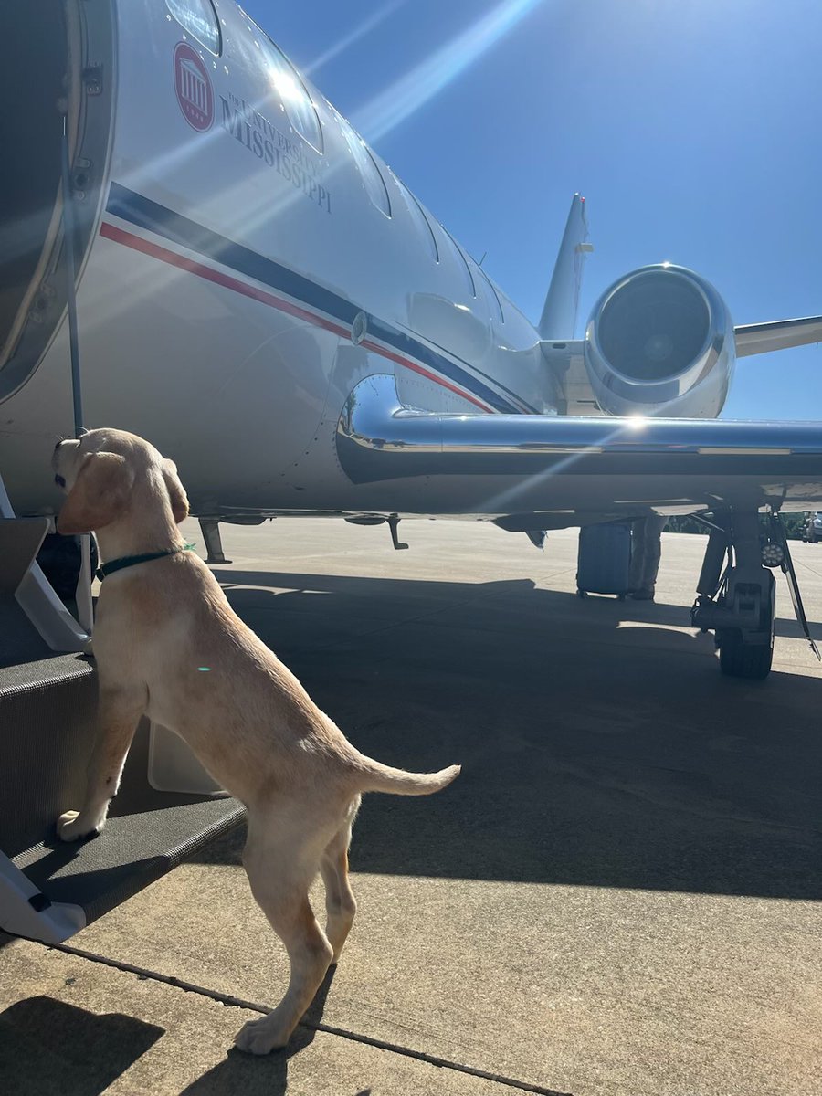 #FlyBackToTheSip because muzzled from the media ⁦<a href="/OleMissFB/">Ole Miss Football</a>⁩ ⁦<a href="/SEC/">Southeastern Conference</a>⁩