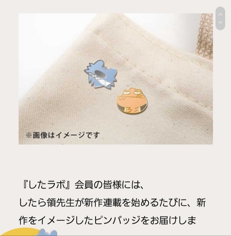 入会特典のピンバッジが激かわ 