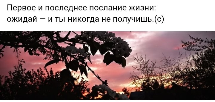 bibylj's tweet photo. ...у меня было так много дней пустого ожидания различных событий. 
Сначала  дни идут обнадёживающие и вдохновляющие... а после выходит "срок годности" и вкус осознания затяжной просидки, выпадает горьким осадочком.
~~~~~
#философия #мысли https://t.co/FRLZbrMVGd