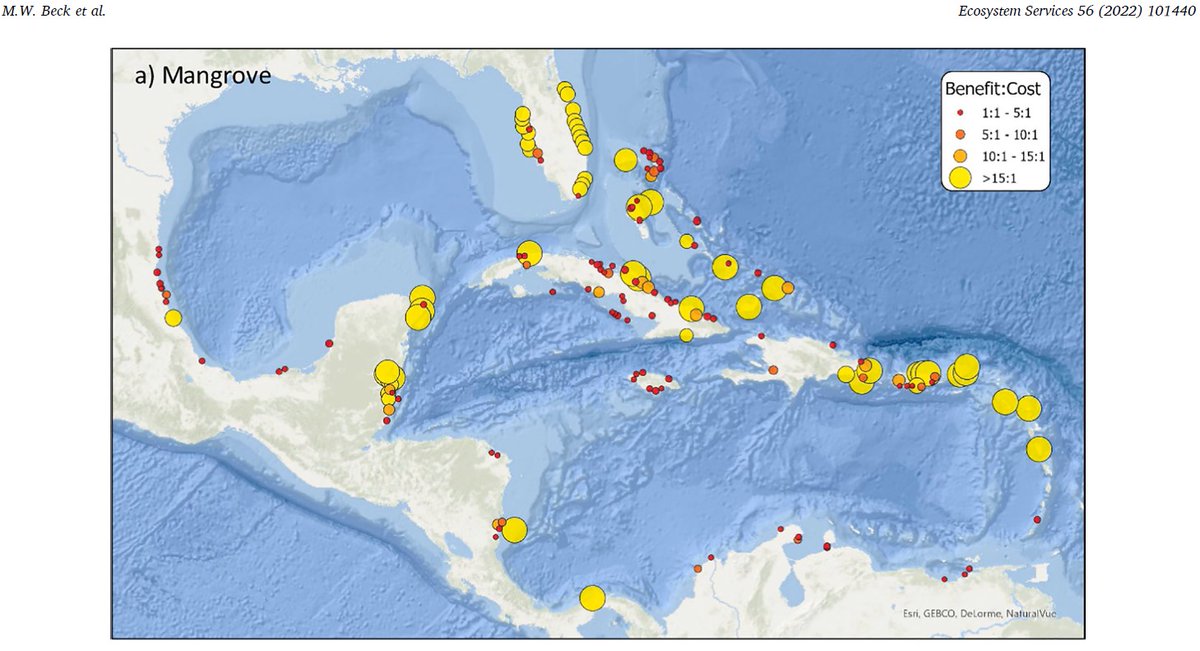 We Assess the Return on Investment (ROI) for Nature-Based Solutions (NBS) for Flood Protection
* Mangroves and Reefs can deliver positive ROI in > 20 countries across Carib;
* Results are robust to changes in Discount Rate and Benefits Timing
sciencedirect.com/science/articl…