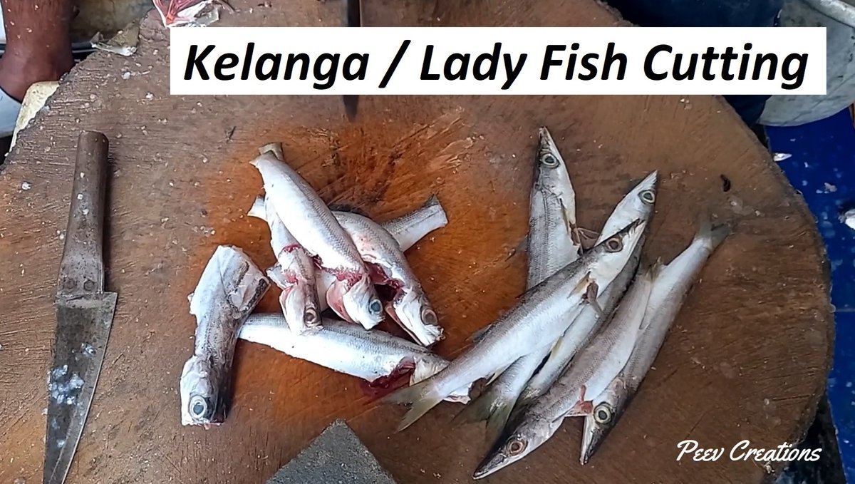 PaulK33039356's tweet photo. Kelanga fish cutting / Lady Fish fish cutting and cleaning in Chennai #fish #fishcutting #fishcleaning #fishfillet #fishchopping #fishing #fishinglife
https://t.co/1PJepDFKgG
Also visit us at https://t.co/LT7N1Y3JKt https://t.co/8T36rddqJO