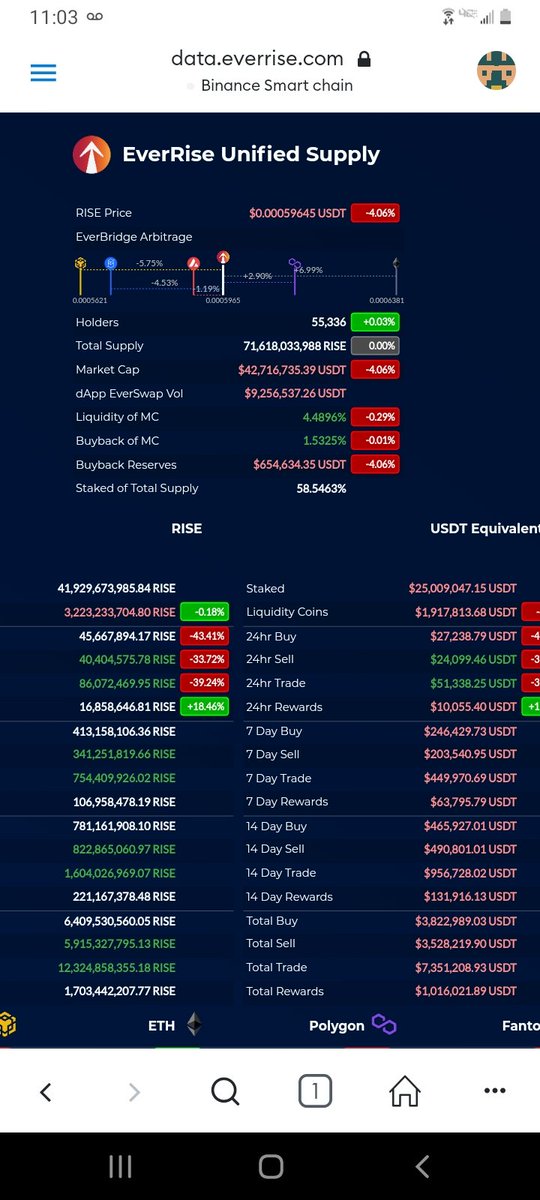 TH3LFI5TMFI7V's tweet image. Was literally watching #EverRise #EverStats and saw the mktcap grow a $1000 a second. That's 60 grand a minute. #Amazing