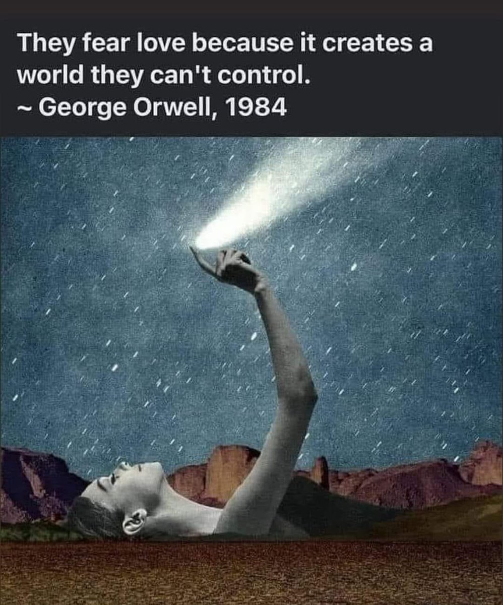 Mr Normal ن tweet media