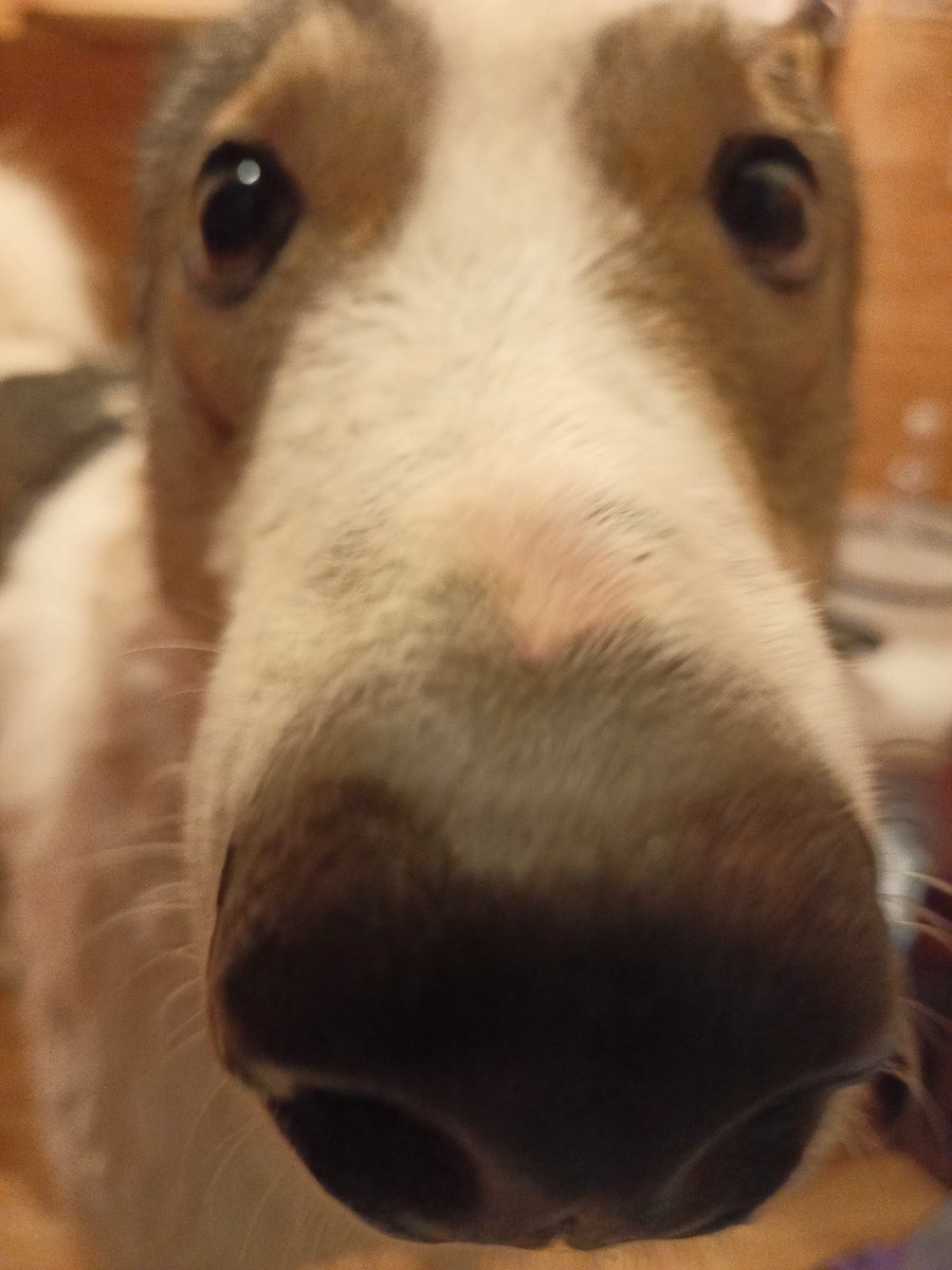 Good morning fam 🌻☕🌈🤸🏼‍♂️🐨 
#NFTCommumity