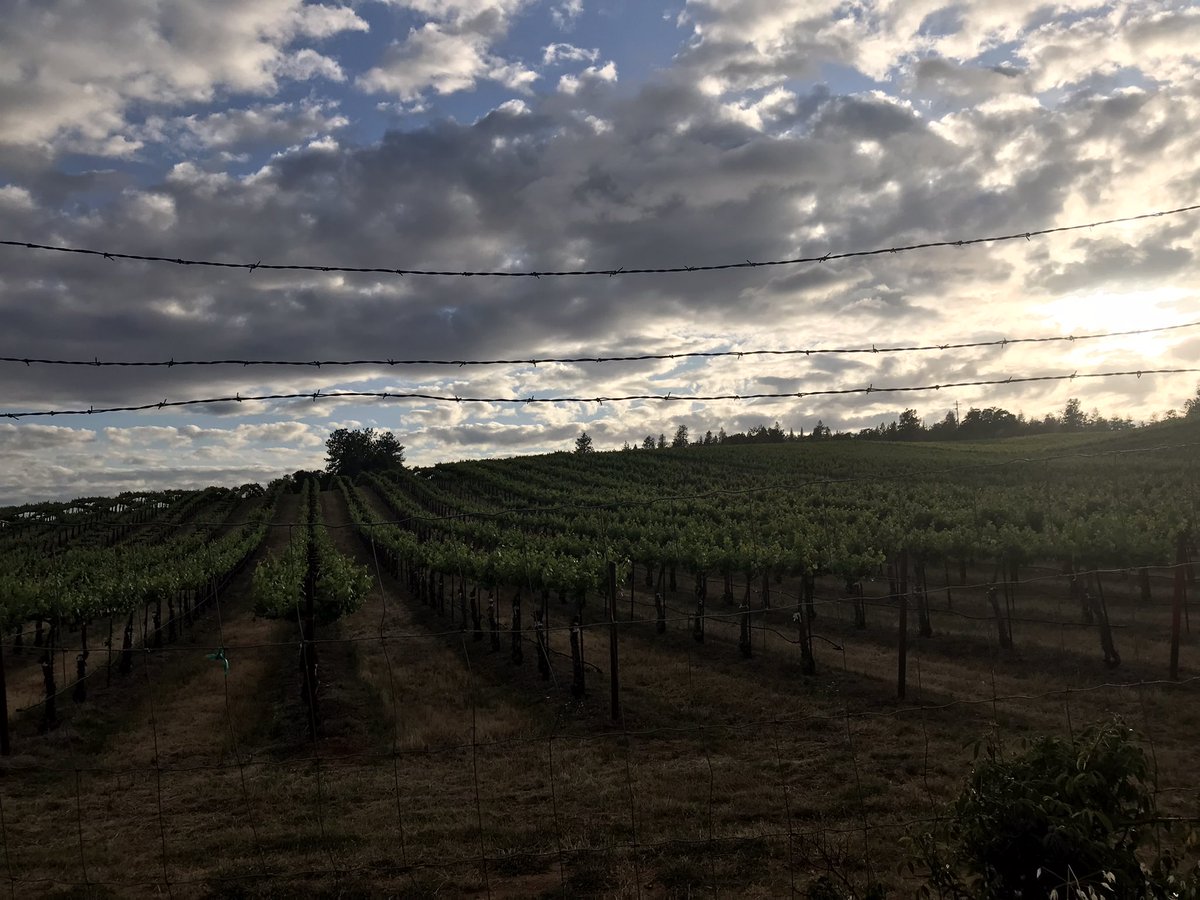 Aaronhawks16's tweet photo. Good night from NorCal https://t.co/aS1b3uYI1j