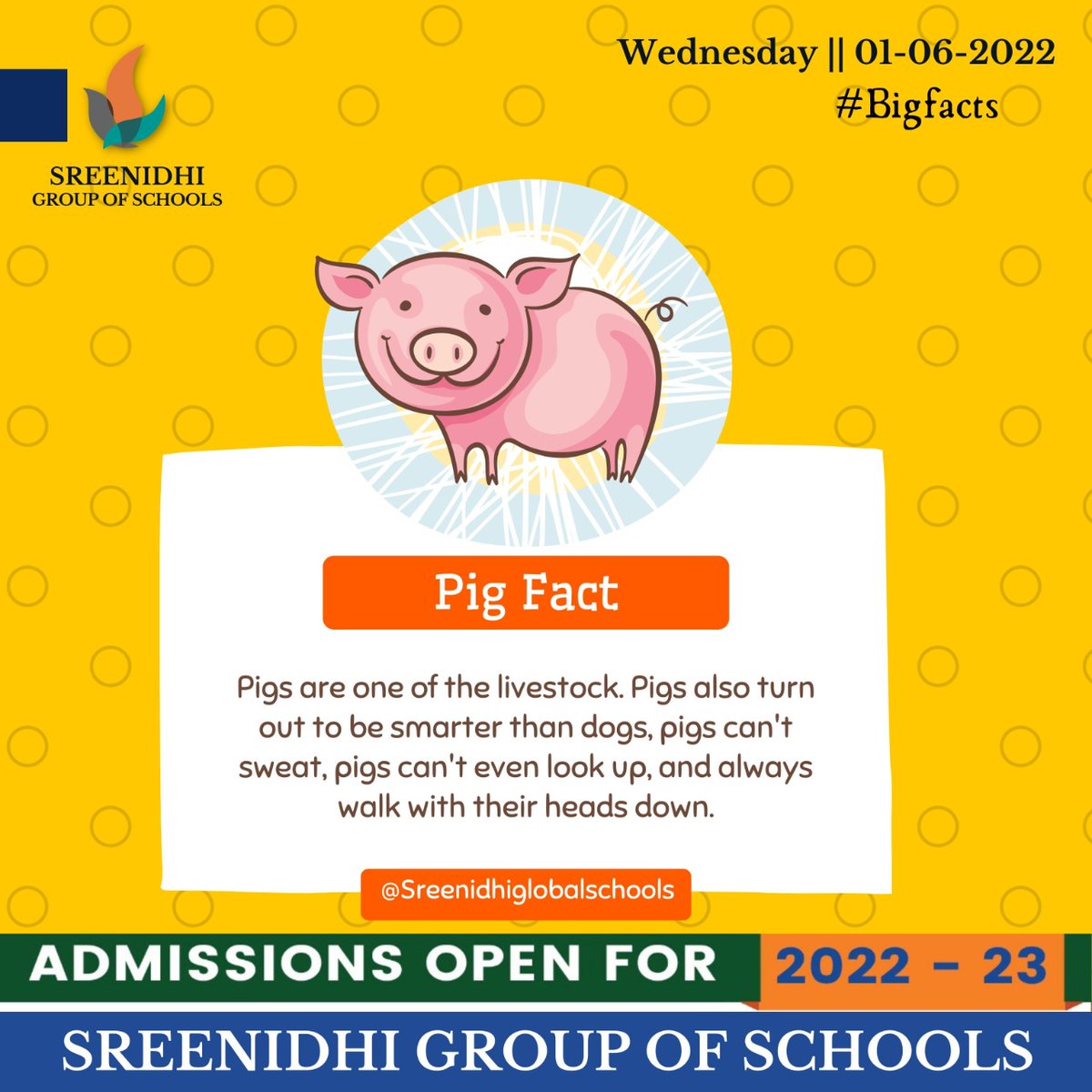 SGSUGJRM's tweet image. #sreenidhiglobalschool #gajularamarambranch #dailypages