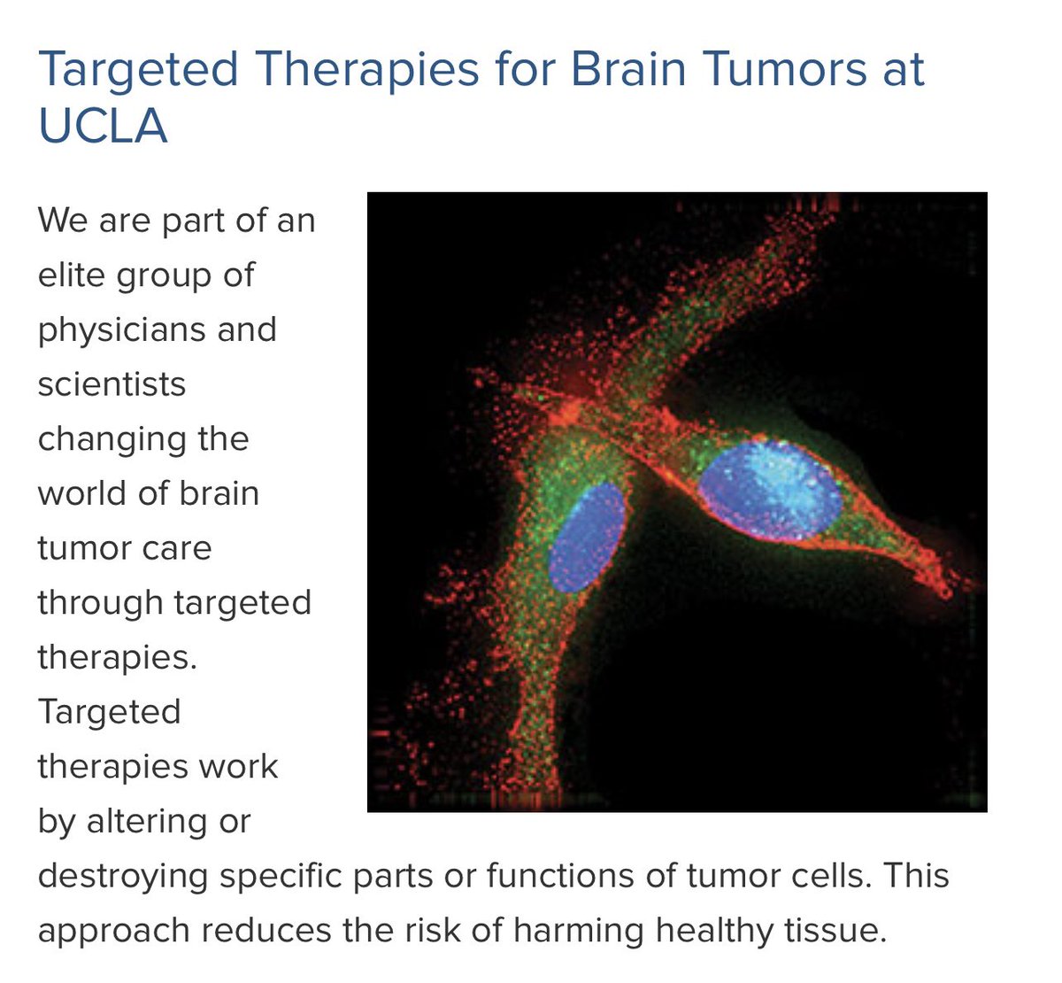 MC17595091's tweet photo. @tradrjoze $nwbo #bwbo #DCVax #ASCO2022 https://t.co/TbQ3vIdrQy