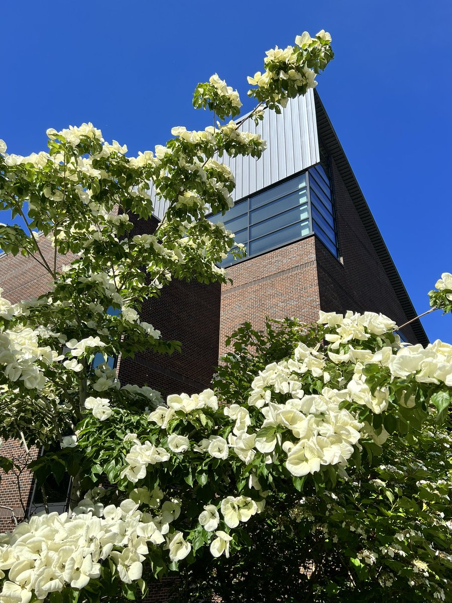 UWBothell's tweet image. Beautiful day on campus today. 💜💛 Don’t forget to take breaks while studying and good luck with finals, huskies! #uwbothell