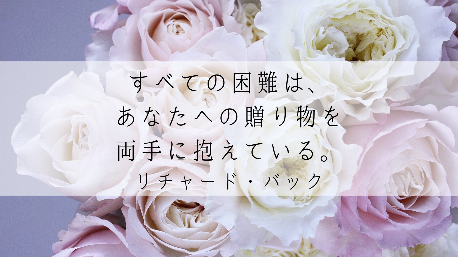 かもめのジョナサン Twitter Search Twitter