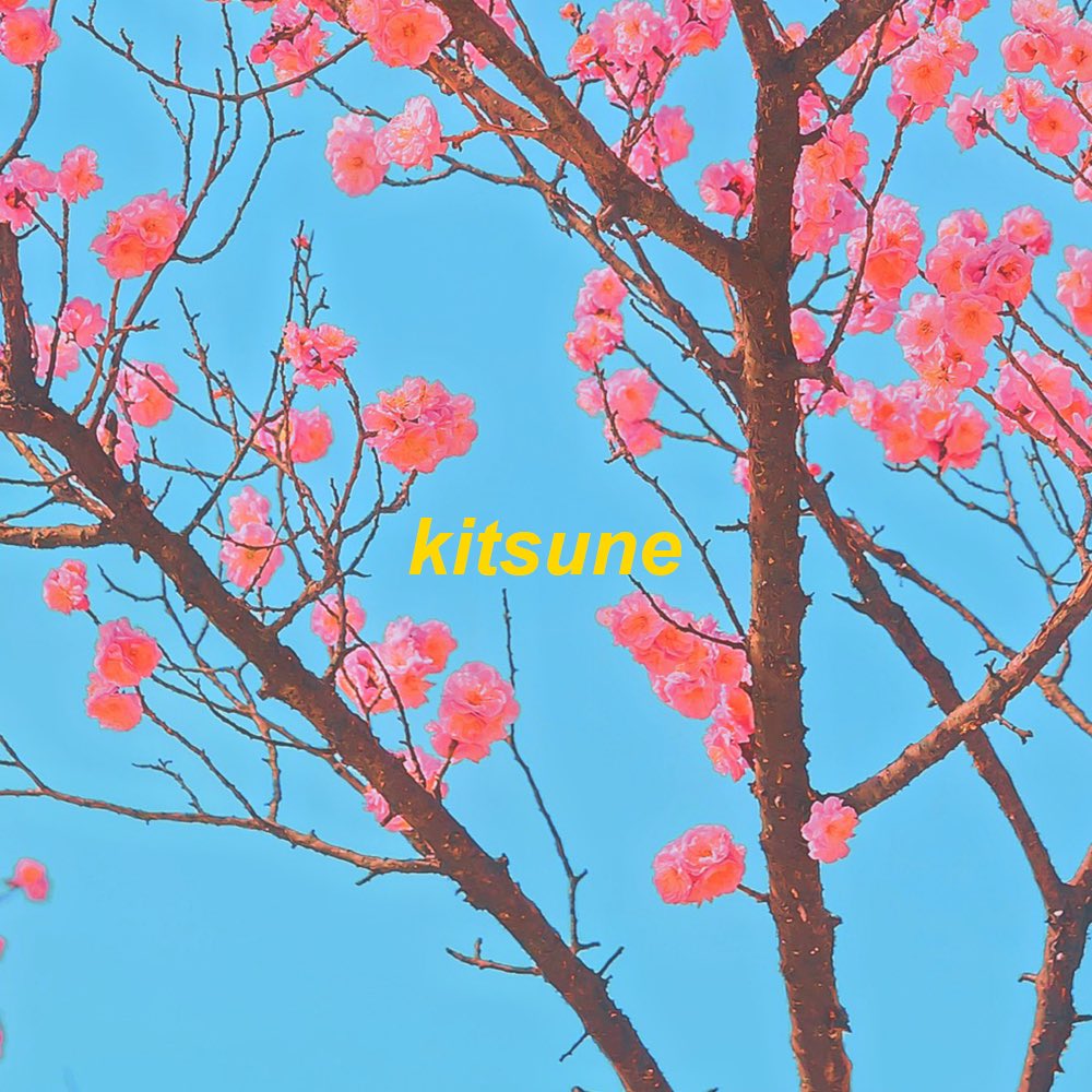 omgkirbymusic's tweet photo. kirby here — 
been working on something really special for you all…
this friday i’m dropping a DAO owned full EP titled: 

🌸 𝓚𝓲𝓽𝓼𝓾𝓷𝓮 🌸 https://t.co/wYevvMnrvX