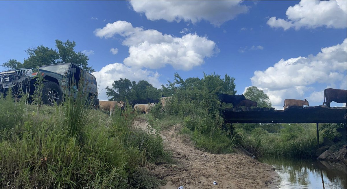CariDenese's tweet photo. A Jeep, cloudy sky and cows crossing the creek below! #easttexas #jeeplife https://t.co/PmcQysdWdg