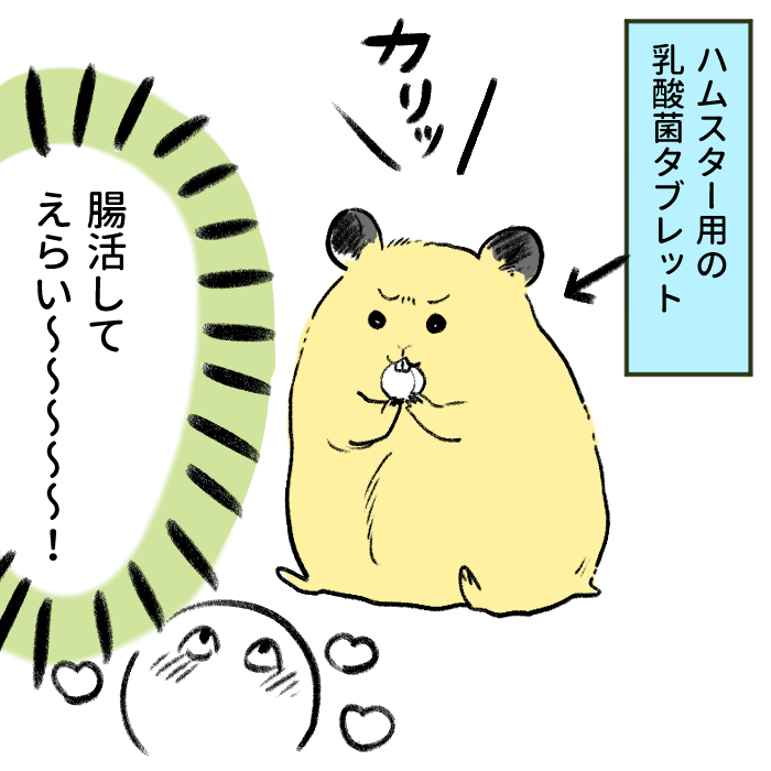 人間もハムスターも腸活している今日この頃、あんこヨーグルトが美味しくて引き続きハマってます! 