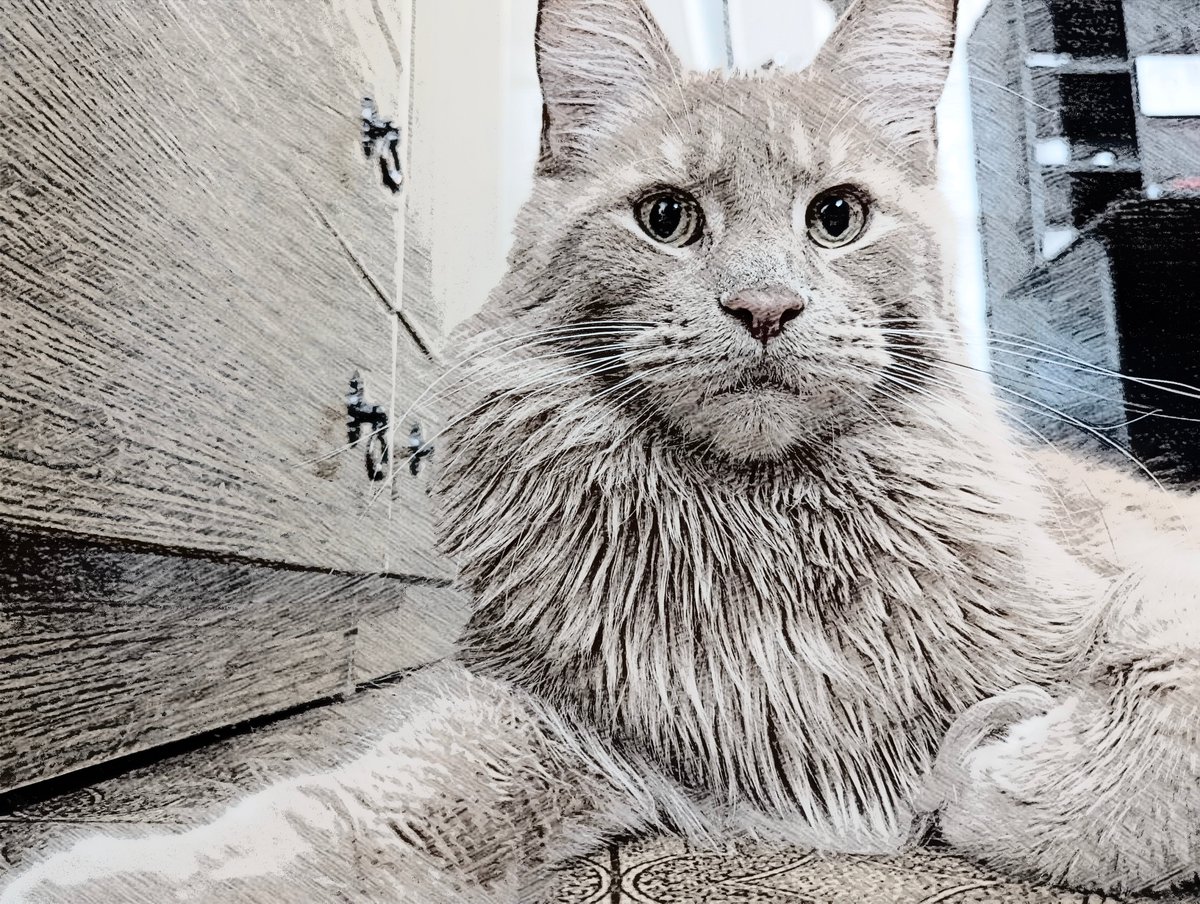 Ainceborn tweet media