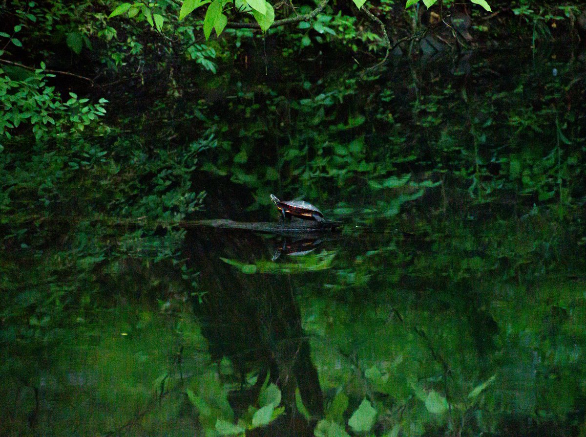 FrodoInRealLife's tweet image. Tested out my new camera over the weekend. This was far and away my favorite shot