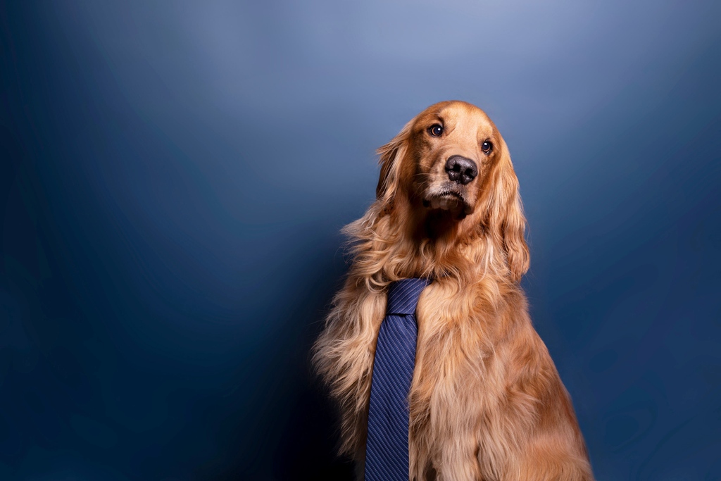 Migration Wealth Management tweet media