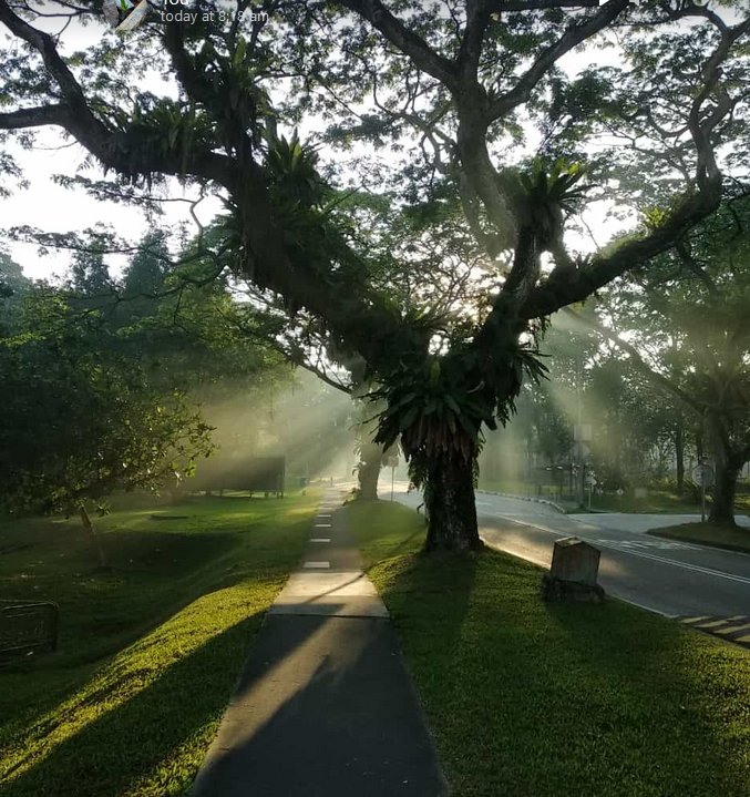 hey_satya's tweet photo. @Rochelle__Silva @NTUsg The morning mist!😀 https://t.co/YuQgffJwzQ