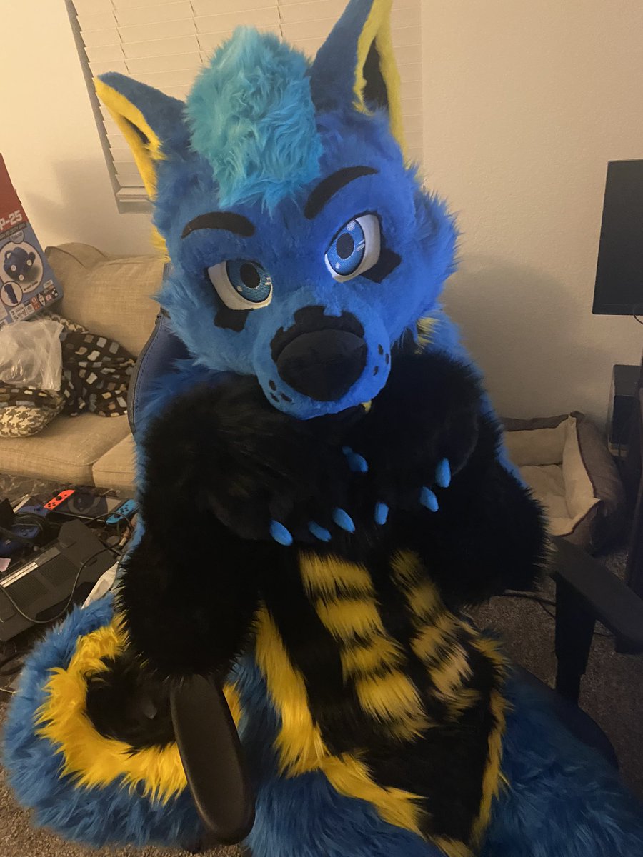 CableHusky's tweet photo. Some fresh pics of Cable before he’s packed for BLFC! See ya there! https://t.co/JBFoLxy5TI