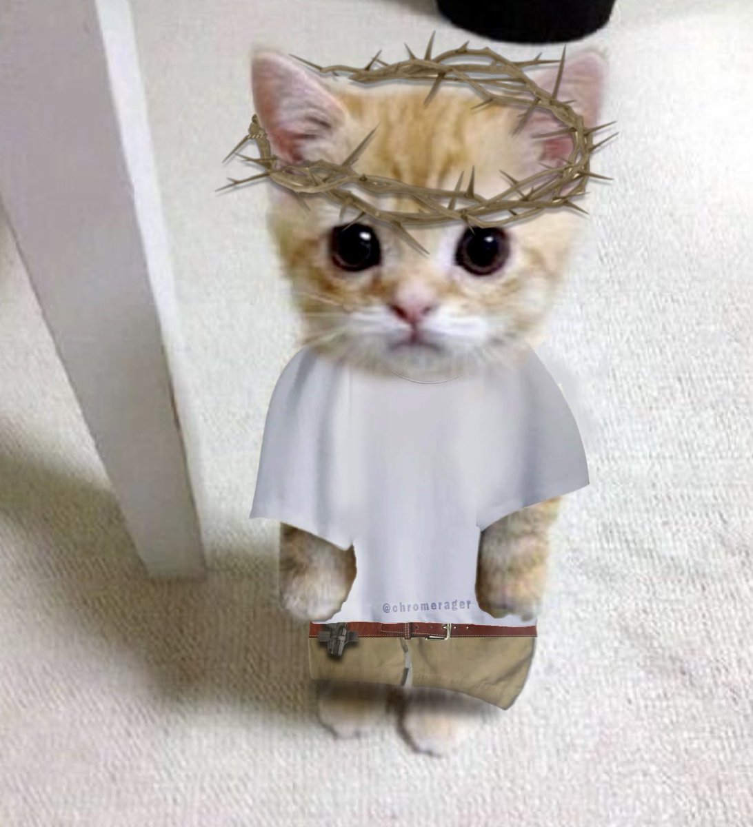 chromerager's tweet photo. Kendrick cat , shoutout drainsupply for inspiration on this one obviously https://t.co/rRdGGuufqm