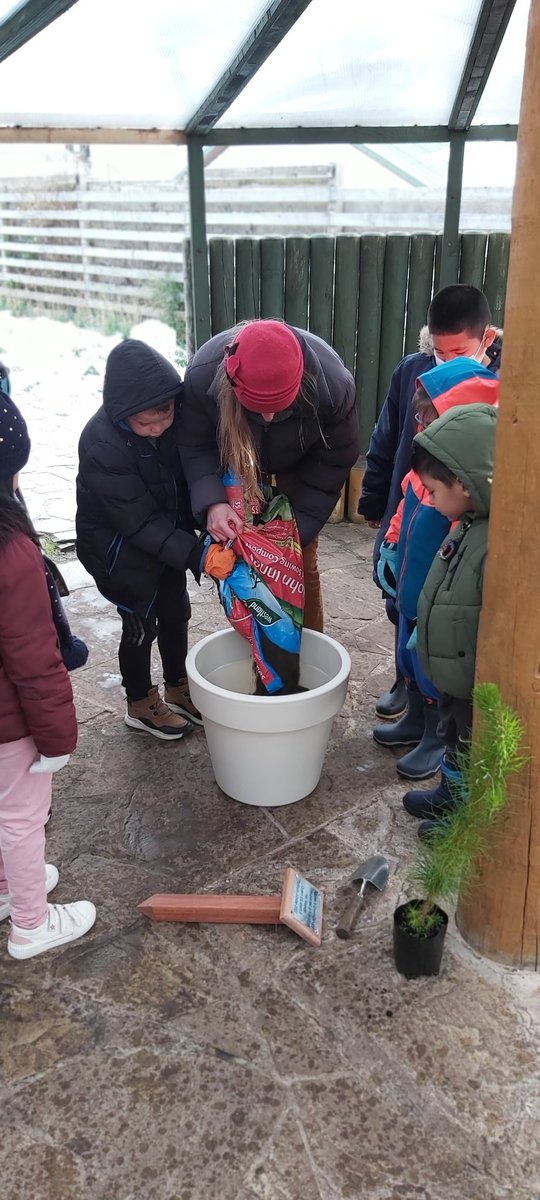 Falkland Islands Schools' primary section plant a tree in honour of Queen's platinum #jubilee Congratulations Your Majesty! @QGCanopy @RoyalFamily @GHFalklands @FalklandsGov @FalklandsRepUK #PlantaTreefortheJubilee