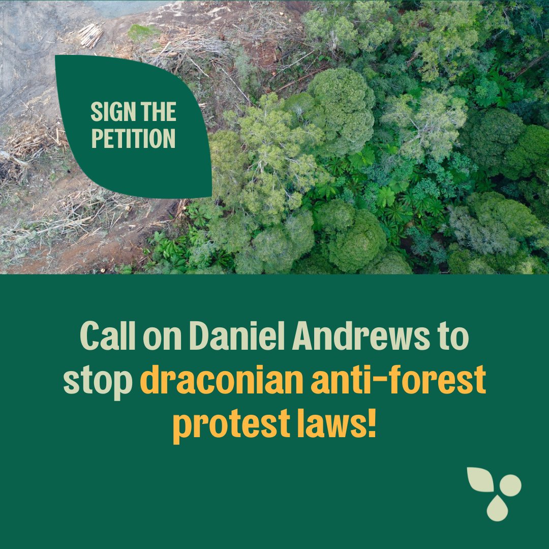 The Vic Govt is trying to introduce draconian laws to silence people protesting illegal logging in native #forests  

Call on Daniel Andrews to withdraw these extraordinary penalties and protect the right to protest against logging.

SIGN THE PETITION👉  bit.ly/3t57wxM