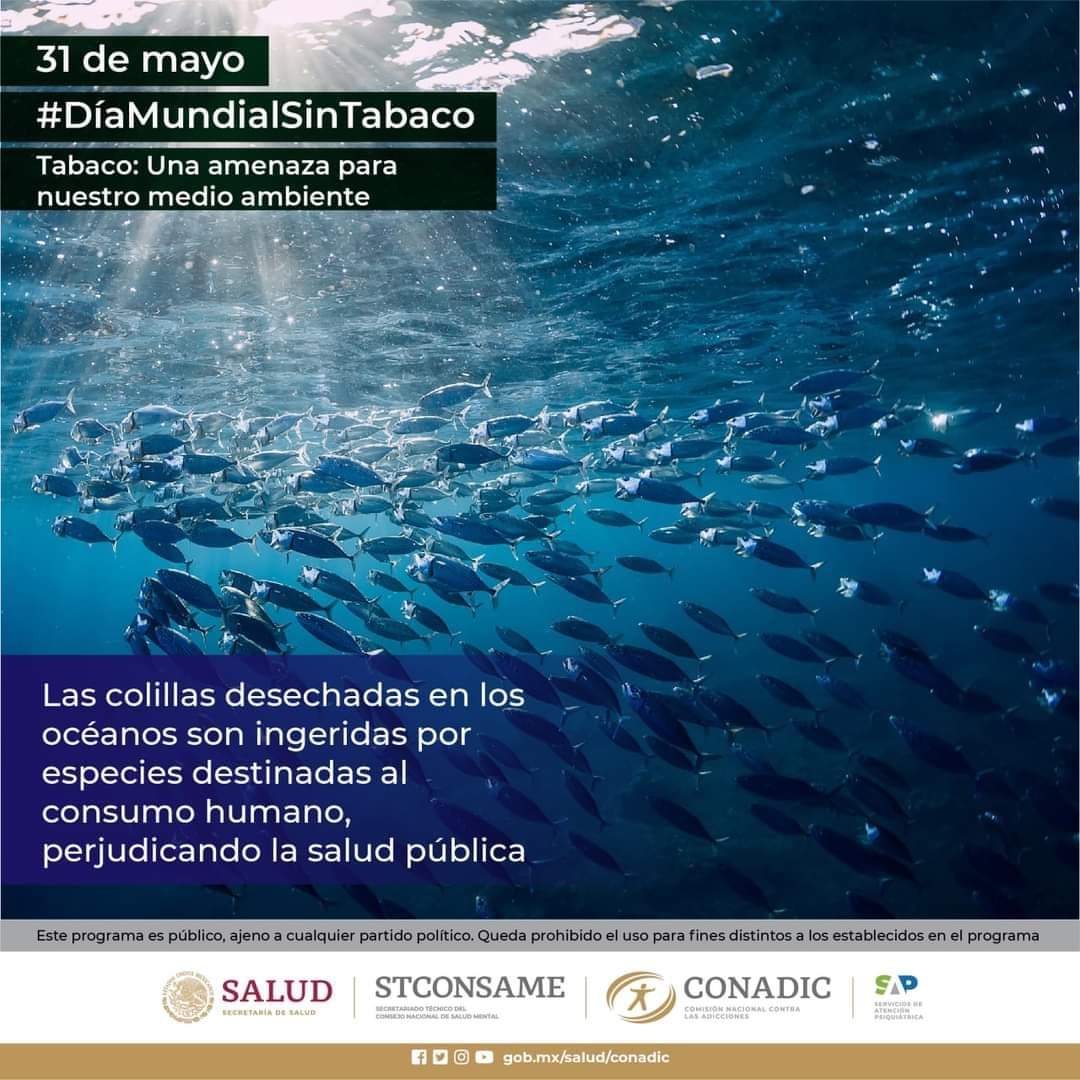 capatuxtepec's tweet photo. #SinTabacoEsMejor 
#EligeNoFumar 
#NiFumoNiContamino 
#CuidoMiAmbiente https://t.co/Jhul4Qz0i7