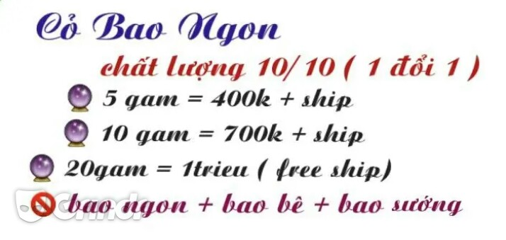LangthangV's tweet photo. Cỏ https://t.co/AU301CwUSj