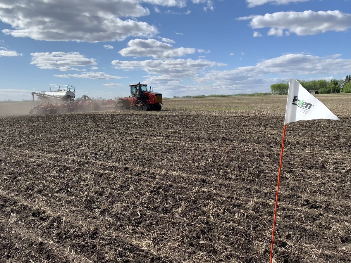 lechler_sarah's tweet photo. Porcupine Plain’s canola seed trial is in the ground. Excited to see how each of these varieties progress throughout the year. @NutrienAg_NSK @ProvenSeed https://t.co/XuFb3LXNPZ