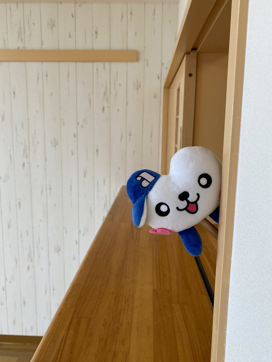 resQchan's tweet photo. おはレスQ☺️
チラッ

今日の天気は晴れキュ☀️
最近暑くなってきて
水分補給が欠かせないキュ❗️

えひめレスQセンターは
今日もさまざまなお困りごとに
対応中キュ❣️ 

今日も一日頑張ろうね〜キュ😊

#企業公式が毎朝地元の天気を言い合う 
#レスQちゃん https://t.co/oHjp4MJznb