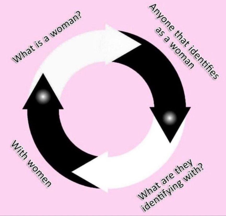 _CryMiaRiver's tweet photo. Imagine using this supremely idiotic definition of woman and then calling others ignorant.🤡 https://t.co/7gJWmtt6VV
