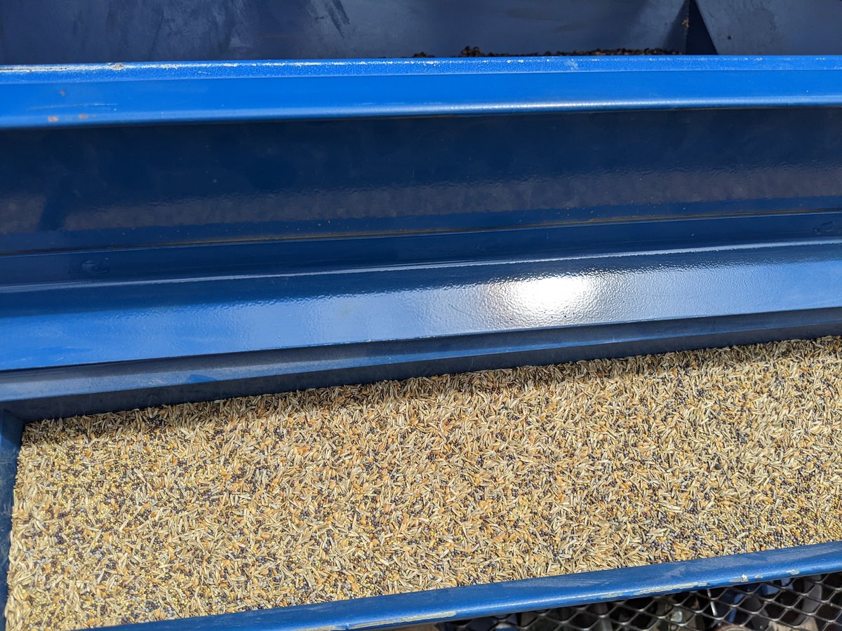 jenreesources's tweet photo. First @OnFarmResearch interseeded cover crop field of 2022 complete. Grateful for our crew &amp; farmer cooperators! Thanks to @NTVsSteveWhite for joining us &amp; taking footage today! @UNL_CropWatch #nebext @dane_chad @smelvin1 @nature_org https://t.co/QG7TArSOUf