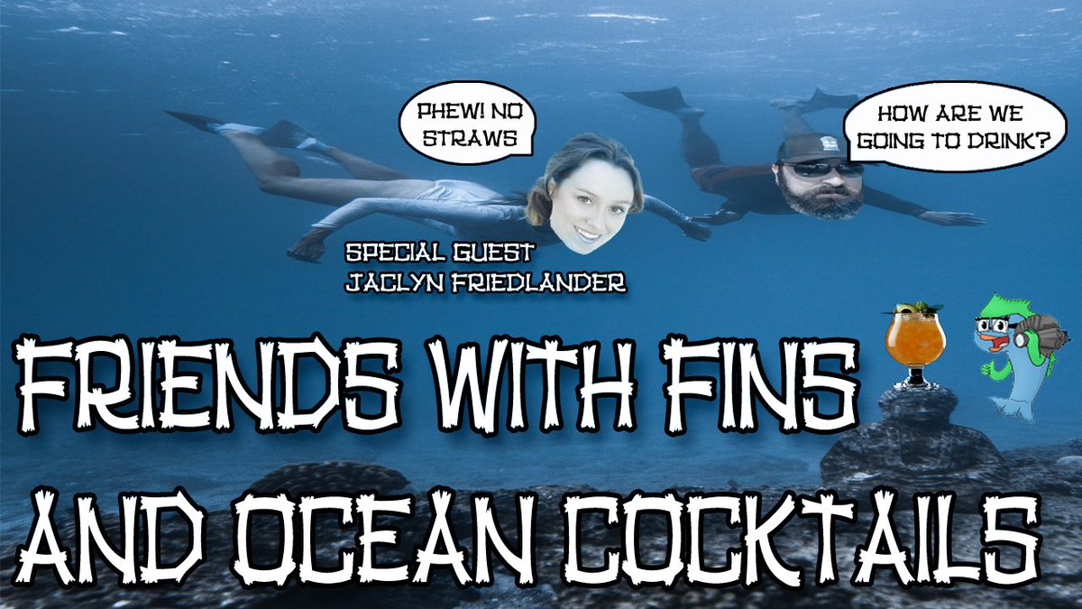 Jaclyn Friedlander tweet media
