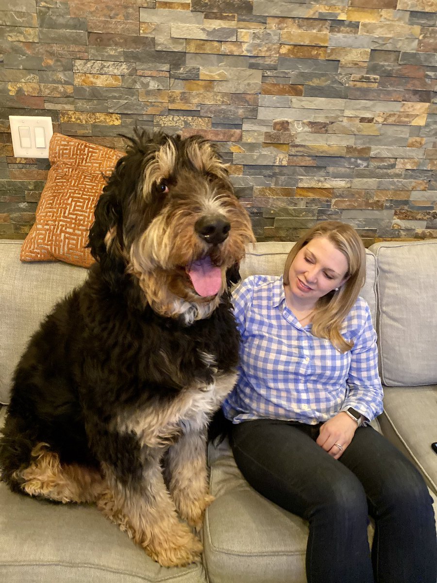 Bill McBain tweet media