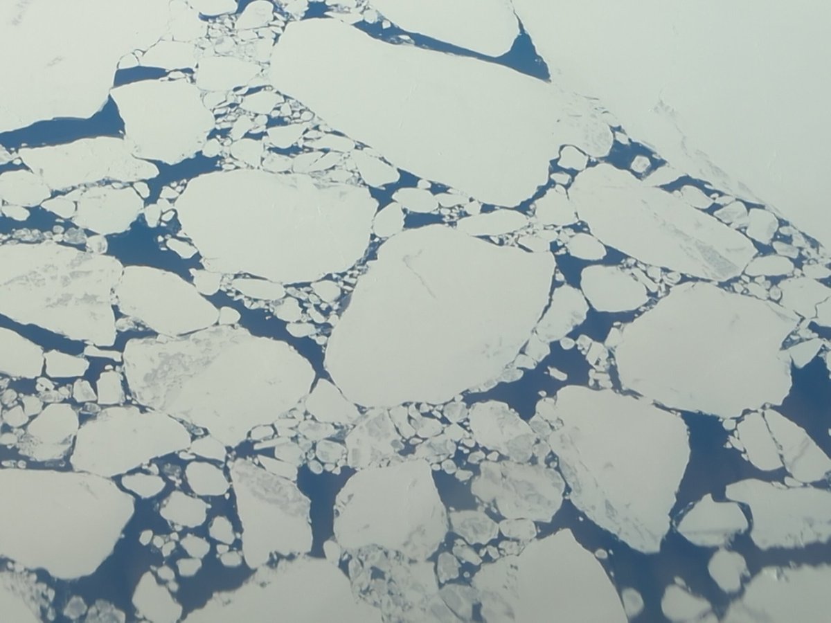 CliffordAgius's tweet photo. Just crossing Baffin Bay you can see that the ice sheet is starting to break up and melt. Looks like a lilly pad pond from this height.
2nd image is zoomed in.
#BestOfficeWindowInTheWorld https://t.co/meHzVZwh6F