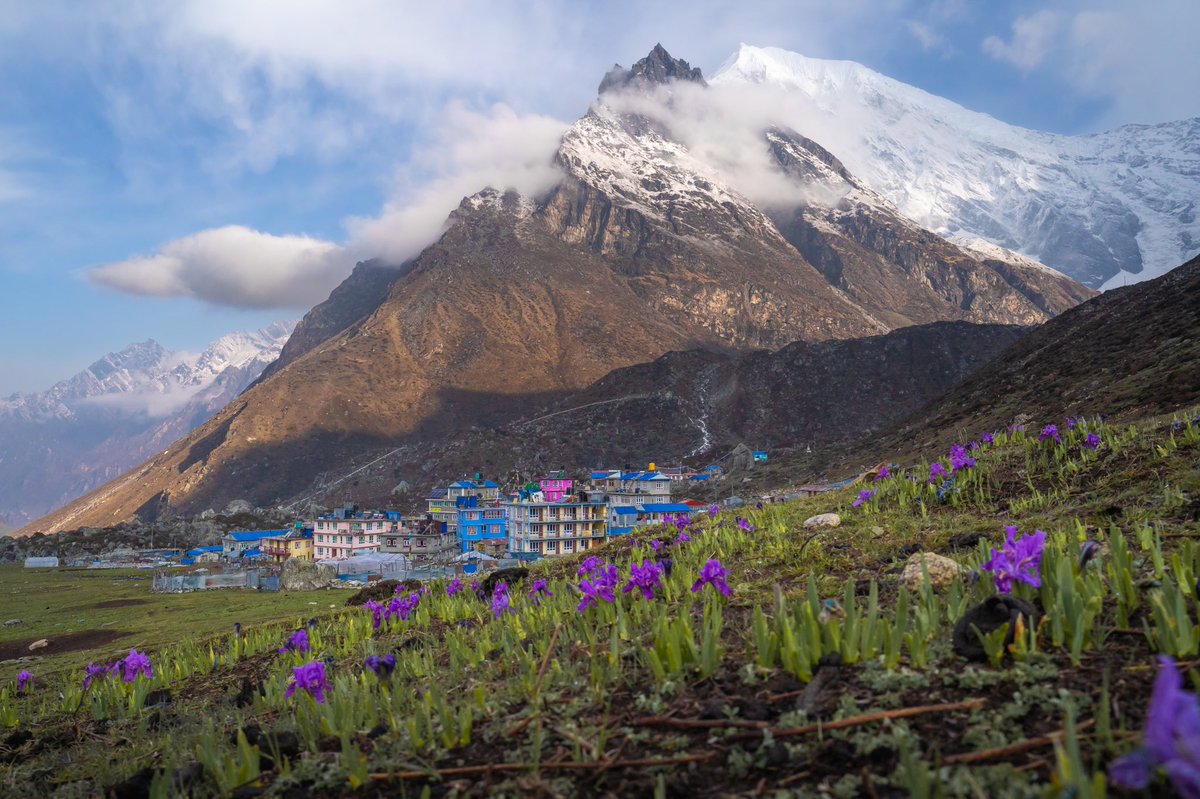 Himalayan tranquility