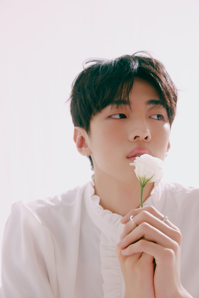 healingbirdkr's tweet photo. #힐링버드 #Healingbird #DKZ #재찬 #Jaechan #아리 https://t.co/P7ud1wHP8U