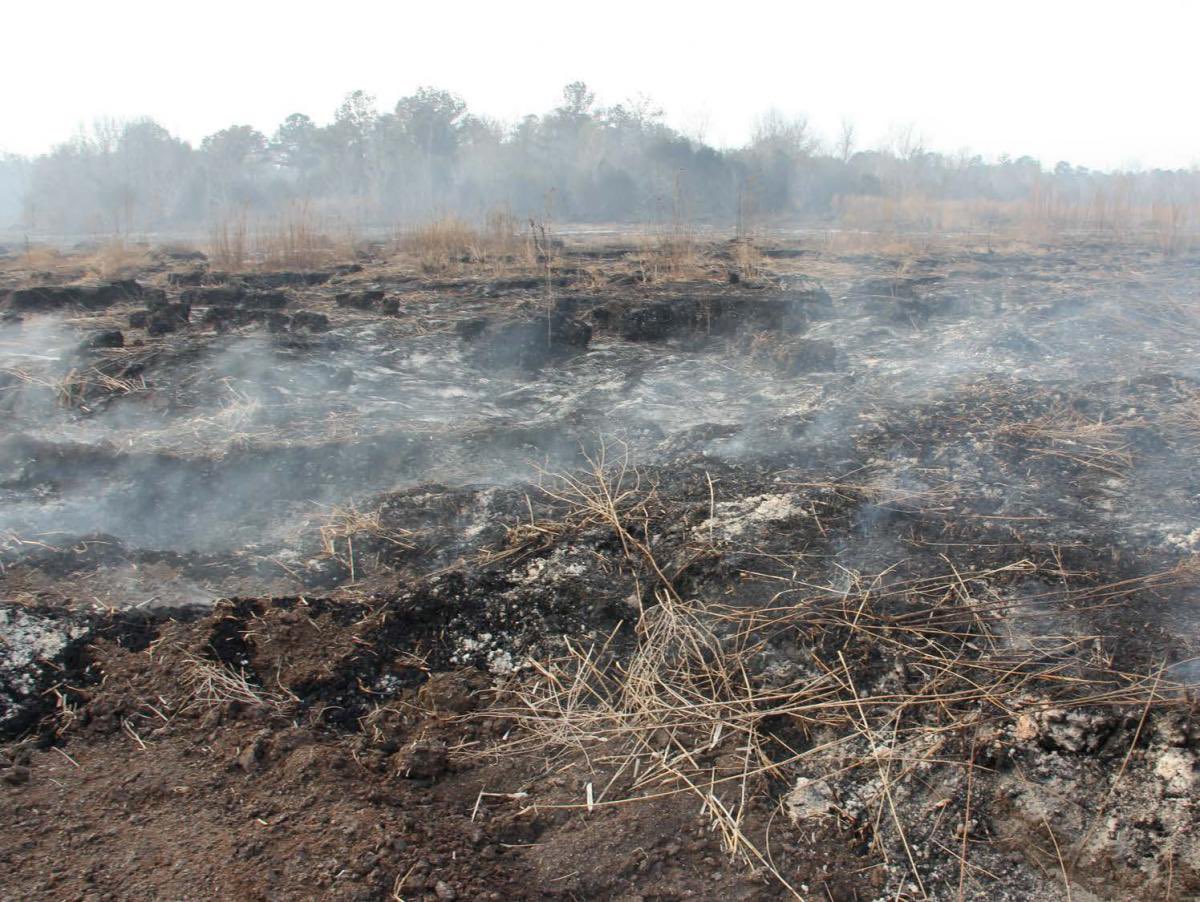marataplitz's tweet photo. The effect of a Peat Fire is the release more carbon pollution than the US economy combined. https://t.co/qiTIlFG7XF